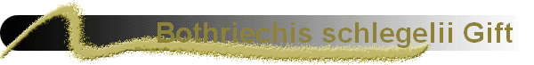 Bothriechis schlegelii Gift  