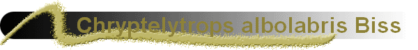 Chryptelytrops albolabris Biss  