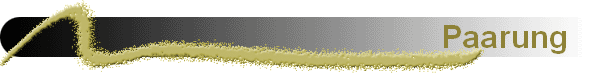 Paarung   